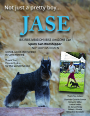 1_editorial-jase-ad