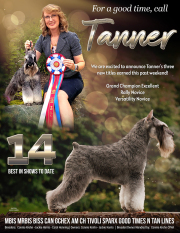 1_editorial-tanner-ad-march-2024
