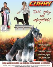 editorial-curry-jan-2026-ad