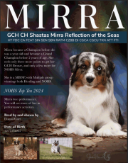 editorial-mirrah-ad