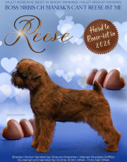 editorial-reese-jan-2026