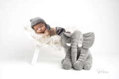 kids-elephant