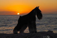 true-sunset