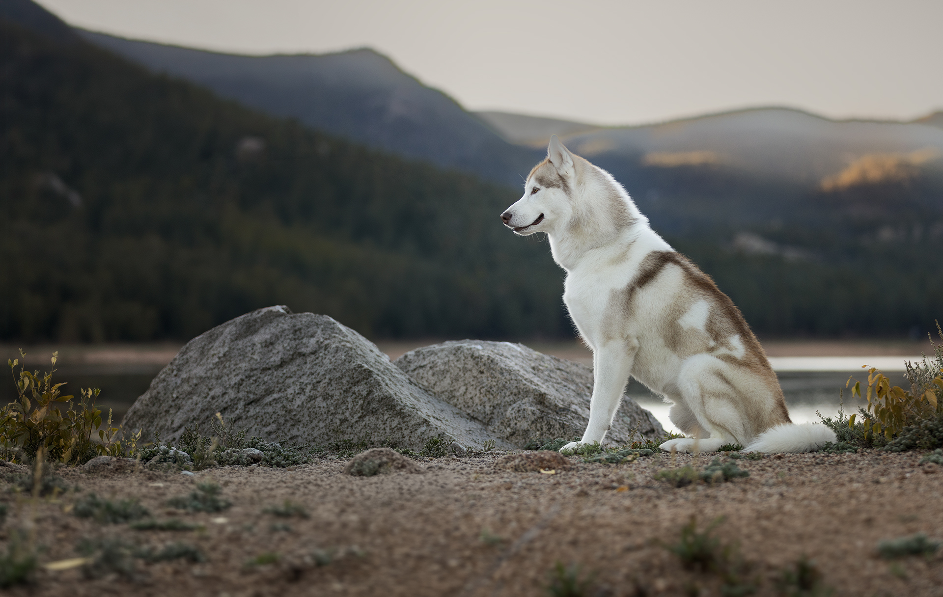 Adventure